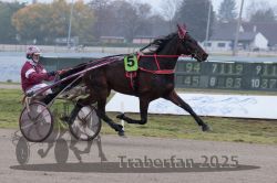 Dateiname=20251009_r05_019_R05_0104.jpg
Dateigröße=264KB
Abmessungen: 1000x667
hinzugefügt am: 09. Oktober 2025 20251009_r05_019_R05_0104.jpg