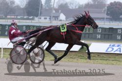 Dateiname=20251009_r05_020_R05_0107.jpg
Dateigröße=258KB
Abmessungen: 1000x667
hinzugefügt am: 09. Oktober 2025 20251009_r05_020_R05_0107.jpg