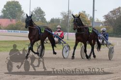 Dateiname=20251009_r05_023_R05_0123.jpg
Dateigröße=301KB
Abmessungen: 1000x667
hinzugefügt am: 09. Oktober 2025 20251009_r05_023_R05_0123.jpg