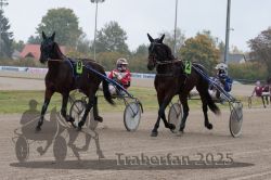 Dateiname=20251009_r05_024_R05_0128.jpg
Dateigröße=287KB
Abmessungen: 1000x667
hinzugefügt am: 09. Oktober 2025 20251009_r05_024_R05_0128.jpg