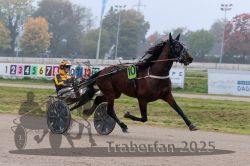 Dateiname=20251009_r05_025_R05_0135.jpg
Dateigröße=268KB
Abmessungen: 1000x667
hinzugefügt am: 09. Oktober 2025 20251009_r05_025_R05_0135.jpg