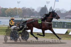 Dateiname=20251009_r05_029_R05_0143.jpg
Dateigröße=239KB
Abmessungen: 1000x667
hinzugefügt am: 09. Oktober 2025 20251009_r05_029_R05_0143.jpg