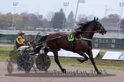 Dateiname=20251009_r05_030_R05_0144.jpg
Dateigröße=243KB
Abmessungen: 1000x667
hinzugefügt am: 09. Oktober 2025 20251009_r05_030_R05_0144.jpg