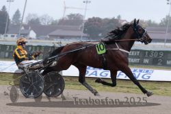 Dateiname=20251009_r05_031_R05_0147.jpg
Dateigröße=246KB
Abmessungen: 1000x667
hinzugefügt am: 09. Oktober 2025 20251009_r05_031_R05_0147.jpg