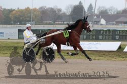 Dateiname=20251009_r05_032_R05_0150.jpg
Dateigröße=252KB
Abmessungen: 1000x667
hinzugefügt am: 09. Oktober 2025 20251009_r05_032_R05_0150.jpg