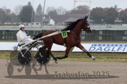 Dateiname=20251009_r05_033_R05_0153.jpg
Dateigröße=256KB
Abmessungen: 1000x667
hinzugefügt am: 09. Oktober 2025 20251009_r05_033_R05_0153.jpg