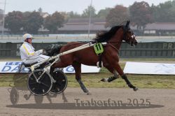 Dateiname=20251009_r05_034_R05_0158.jpg
Dateigröße=248KB
Abmessungen: 1000x667
hinzugefügt am: 09. Oktober 2025 20251009_r05_034_R05_0158.jpg