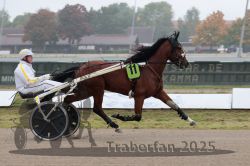 Dateiname=20251009_r05_035_R05_0161.jpg
Dateigröße=247KB
Abmessungen: 1000x667
hinzugefügt am: 09. Oktober 2025 20251009_r05_035_R05_0161.jpg