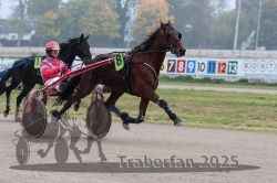 Dateiname=20251009_r05_036_R05_0166.jpg
Dateigröße=277KB
Abmessungen: 1000x667
hinzugefügt am: 09. Oktober 2025 20251009_r05_036_R05_0166.jpg