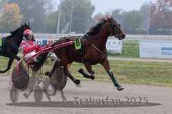 Dateiname=20251009_r05_037_R05_0170.jpg
Dateigröße=261KB
Abmessungen: 1000x667
hinzugefügt am: 09. Oktober 2025 20251009_r05_037_R05_0170.jpg