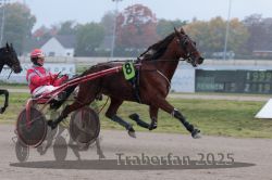 Dateiname=20251009_r05_038_R05_0173.jpg
Dateigröße=234KB
Abmessungen: 1000x667
hinzugefügt am: 09. Oktober 2025 20251009_r05_038_R05_0173.jpg