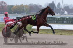 Dateiname=20251009_r05_039_R05_0176.jpg
Dateigröße=254KB
Abmessungen: 1000x667
hinzugefügt am: 09. Oktober 2025 20251009_r05_039_R05_0176.jpg