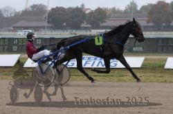 Dateiname=20251009_r05_041_R05_0182.jpg
Dateigröße=249KB
Abmessungen: 1000x667
hinzugefügt am: 09. Oktober 2025 20251009_r05_041_R05_0182.jpg