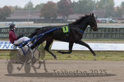 Dateiname=20251009_r05_042_R05_0185.jpg
Dateigröße=248KB
Abmessungen: 1000x667
hinzugefügt am: 09. Oktober 2025 20251009_r05_042_R05_0185.jpg