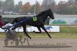 Dateiname=20251009_r05_043_R05_0189.jpg
Dateigröße=261KB
Abmessungen: 1000x667
hinzugefügt am: 09. Oktober 2025 20251009_r05_043_R05_0189.jpg