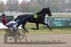 Dateiname=20251009_r05_044_R05_0192.jpg
Dateigröße=275KB
Abmessungen: 1000x667
hinzugefügt am: 09. Oktober 2025 20251009_r05_044_R05_0192.jpg