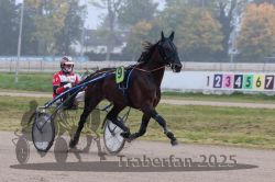 Dateiname=20251009_r05_045_R05_0195.jpg
Dateigröße=257KB
Abmessungen: 1000x667
hinzugefügt am: 09. Oktober 2025 20251009_r05_045_R05_0195.jpg