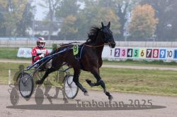 Dateiname=20251009_r05_046_R05_0196.jpg
Dateigröße=256KB
Abmessungen: 1000x667
hinzugefügt am: 09. Oktober 2025 20251009_r05_046_R05_0196.jpg