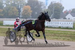 Dateiname=20251009_r05_048_R05_0200.jpg
Dateigröße=272KB
Abmessungen: 1000x667
hinzugefügt am: 09. Oktober 2025 20251009_r05_048_R05_0200.jpg