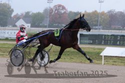 Dateiname=20251009_r05_050_R05_0206.jpg
Dateigröße=234KB
Abmessungen: 1000x667
hinzugefügt am: 09. Oktober 2025 20251009_r05_050_R05_0206.jpg