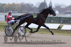 Dateiname=20251009_r05_051_R05_0210.jpg
Dateigröße=249KB
Abmessungen: 1000x667
hinzugefügt am: 09. Oktober 2025 20251009_r05_051_R05_0210.jpg