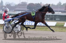 Dateiname=20251009_r05_052_R05_0214.jpg
Dateigröße=265KB
Abmessungen: 1000x667
hinzugefügt am: 09. Oktober 2025 20251009_r05_052_R05_0214.jpg