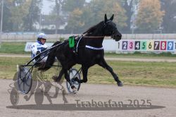 Dateiname=20251009_r05_053_R05_0217.jpg
Dateigröße=264KB
Abmessungen: 1000x667
hinzugefügt am: 09. Oktober 2025 20251009_r05_053_R05_0217.jpg