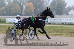 Dateiname=20251009_r05_054_R05_0221.jpg
Dateigröße=270KB
Abmessungen: 1000x667
hinzugefügt am: 09. Oktober 2025 20251009_r05_054_R05_0221.jpg