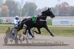 Dateiname=20251009_r05_055_R05_0224.jpg
Dateigröße=231KB
Abmessungen: 1000x667
hinzugefügt am: 09. Oktober 2025 20251009_r05_055_R05_0224.jpg