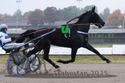 Dateiname=20251009_r05_058_R05_0238.jpg
Dateigröße=249KB
Abmessungen: 1000x667
hinzugefügt am: 09. Oktober 2025 20251009_r05_058_R05_0238.jpg