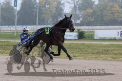 Dateiname=20251009_r05_059_R05_0242.jpg
Dateigröße=256KB
Abmessungen: 1000x667
hinzugefügt am: 09. Oktober 2025 20251009_r05_059_R05_0242.jpg