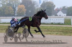 Dateiname=20251009_r05_060_R05_0250.jpg
Dateigröße=257KB
Abmessungen: 1000x667
hinzugefügt am: 09. Oktober 2025 20251009_r05_060_R05_0250.jpg