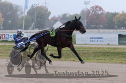 Dateiname=20251009_r05_061_R05_0253.jpg
Dateigröße=229KB
Abmessungen: 1000x667
hinzugefügt am: 09. Oktober 2025 20251009_r05_061_R05_0253.jpg