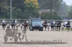 Dateiname=20251009_r05_063_R05_0260.jpg
Dateigröße=290KB
Abmessungen: 1000x667
hinzugefügt am: 09. Oktober 2025 20251009_r05_063_R05_0260.jpg