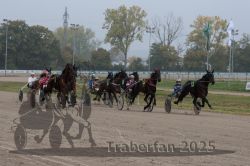 Dateiname=20251009_r05_065_R05_0270.jpg
Dateigröße=295KB
Abmessungen: 1000x667
hinzugefügt am: 09. Oktober 2025 20251009_r05_065_R05_0270.jpg