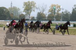 Dateiname=20251009_r05_066_R05_0274.jpg
Dateigröße=332KB
Abmessungen: 1000x667
hinzugefügt am: 09. Oktober 2025 20251009_r05_066_R05_0274.jpg