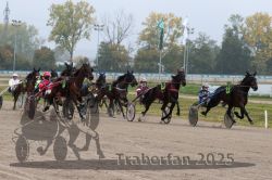 Dateiname=20251009_r05_067_R05_0277.jpg
Dateigröße=329KB
Abmessungen: 1000x667
hinzugefügt am: 09. Oktober 2025 20251009_r05_067_R05_0277.jpg