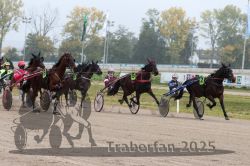 Dateiname=20251009_r05_068_R05_0281.jpg
Dateigröße=313KB
Abmessungen: 1000x667
hinzugefügt am: 09. Oktober 2025 20251009_r05_068_R05_0281.jpg