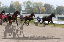 Dateiname=20251009_r05_070_R05_0287.jpg
Dateigröße=344KB
Abmessungen: 1000x667
hinzugefügt am: 09. Oktober 2025 20251009_r05_070_R05_0287.jpg