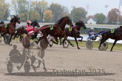 Dateiname=20251009_r05_071_R05_0293.jpg
Dateigröße=307KB
Abmessungen: 1000x667
hinzugefügt am: 09. Oktober 2025 20251009_r05_071_R05_0293.jpg