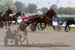 Dateiname=20251009_r05_072_R05_0296.jpg
Dateigröße=302KB
Abmessungen: 1000x667
hinzugefügt am: 09. Oktober 2025 20251009_r05_072_R05_0296.jpg