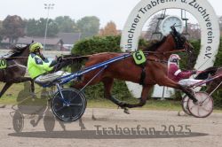 Dateiname=20251009_r05_076_R05_0309.jpg
Dateigröße=305KB
Abmessungen: 1000x667
hinzugefügt am: 09. Oktober 2025 20251009_r05_076_R05_0309.jpg