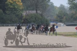 Dateiname=20251009_r05_077_R05_0314.jpg
Dateigröße=265KB
Abmessungen: 1000x667
hinzugefügt am: 09. Oktober 2025 20251009_r05_077_R05_0314.jpg