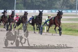 Dateiname=20251009_r05_080_R05_0323.jpg
Dateigröße=268KB
Abmessungen: 1000x667
hinzugefügt am: 09. Oktober 2025 20251009_r05_080_R05_0323.jpg