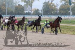 Dateiname=20251009_r05_083_R05_0334.jpg
Dateigröße=321KB
Abmessungen: 1000x667
hinzugefügt am: 09. Oktober 2025 20251009_r05_083_R05_0334.jpg