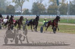 Dateiname=20251009_r05_084_R05_0337.jpg
Dateigröße=308KB
Abmessungen: 1000x667
hinzugefügt am: 09. Oktober 2025 20251009_r05_084_R05_0337.jpg