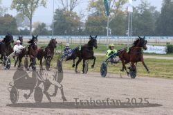 Dateiname=20251009_r05_085_R05_0341.jpg
Dateigröße=336KB
Abmessungen: 1000x667
hinzugefügt am: 09. Oktober 2025 20251009_r05_085_R05_0341.jpg