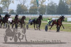 Dateiname=20251009_r05_086_R05_0344.jpg
Dateigröße=333KB
Abmessungen: 1000x667
hinzugefügt am: 09. Oktober 2025 20251009_r05_086_R05_0344.jpg