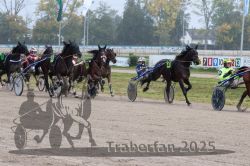 Dateiname=20251009_r05_087_R05_0347.jpg
Dateigröße=342KB
Abmessungen: 1000x667
hinzugefügt am: 09. Oktober 2025 20251009_r05_087_R05_0347.jpg