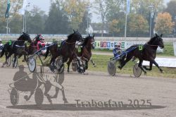 Dateiname=20251009_r05_088_R05_0353.jpg
Dateigröße=333KB
Abmessungen: 1000x667
hinzugefügt am: 09. Oktober 2025 20251009_r05_088_R05_0353.jpg